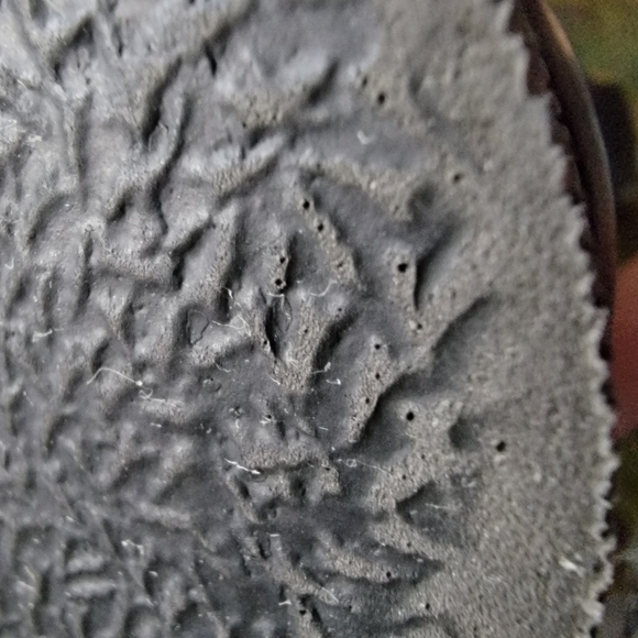 Steve Madden Black Leather Strappy Gladiator Sandals Size 6.5 - Picture 6 of 6